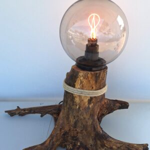 507-Albero di Luce
